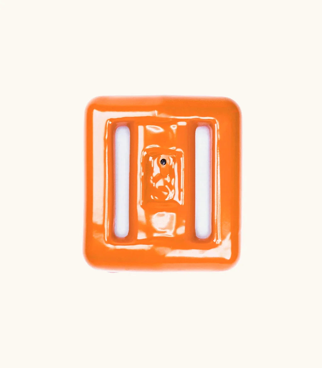 Clownfish Dive Weights