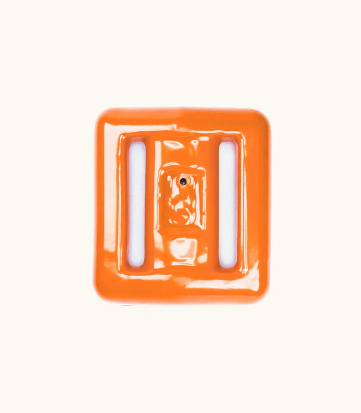 Clownfish Dive Weights