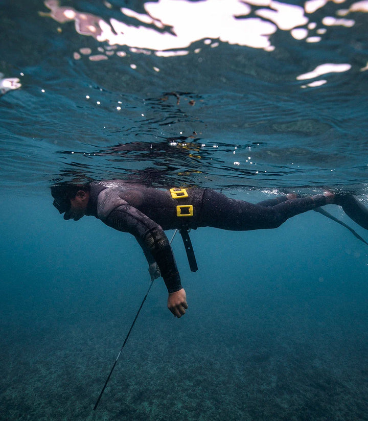 Yellow Tang Dive Weights
